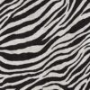 Africa_zebra_T02